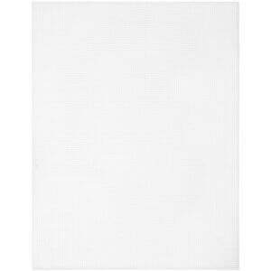 Cousin Plastic Canvas 10" x 13" 10 Count