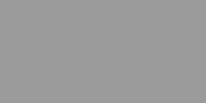 Testors Enamel Paint .25oz-Silver Gloss