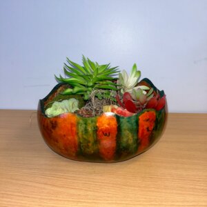 Beginner 9inch Gourd Planter Craft Class