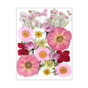 Pink Dried Pressed Flowers