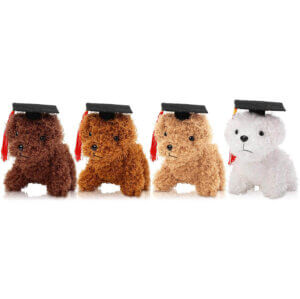 4in Graduation Dog Plush Assorted Colors