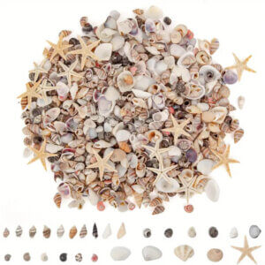 100g Mixed Shells 5-20mm