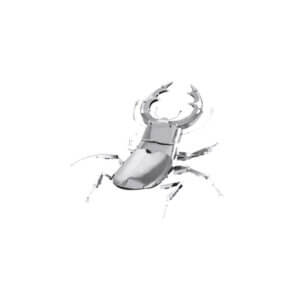 Stag Beetle - Metal Earth Model