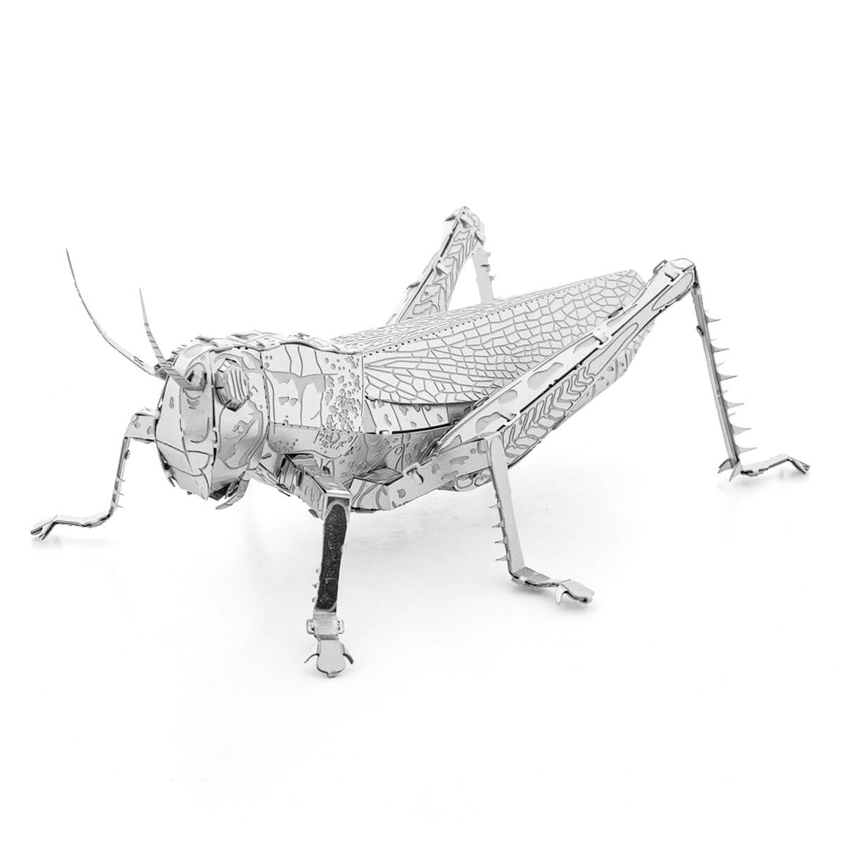 Grasshopper – Metal Earth Model