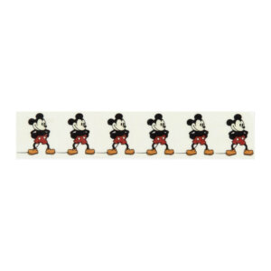 Echo Park Mouse And Me Washi Tape-Meet The Mouse